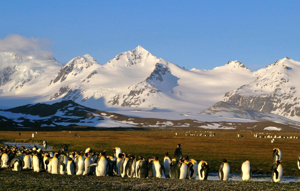 Antartida clasica Qwerty Travel